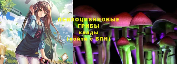 трава Нягань