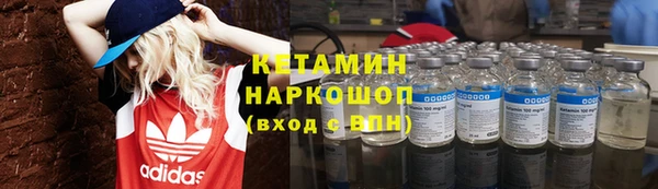 сатива Няндома