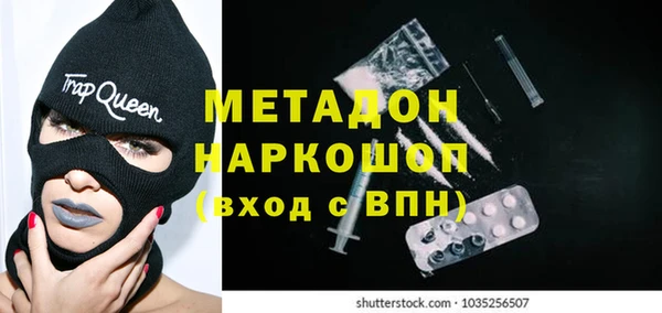 сатива Няндома