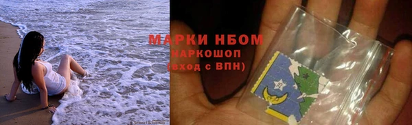 сатива Няндома