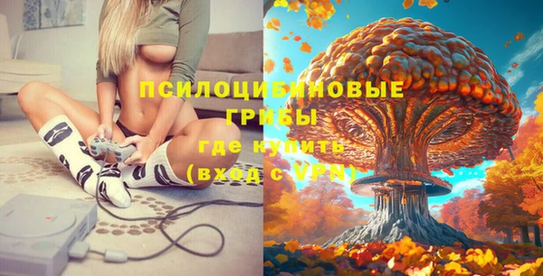 Альфа ПВП Нязепетровск