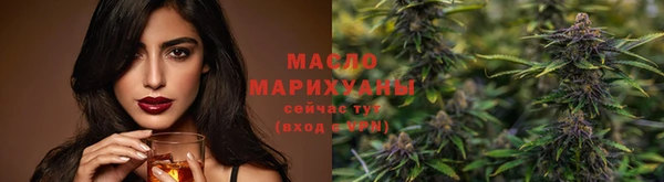 сатива Няндома