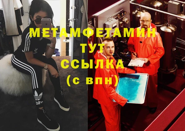 прущие грибы Осташков
