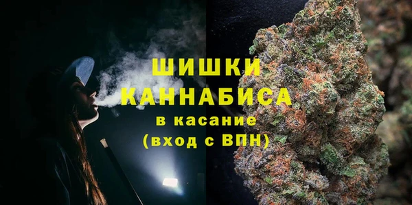 сатива Няндома