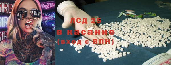 прущие грибы Осташков