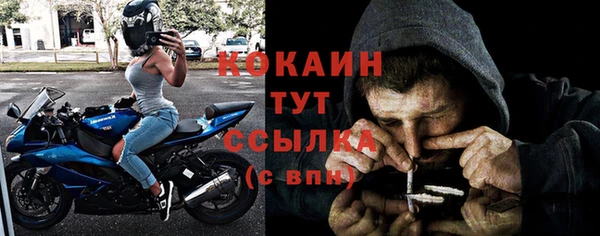 шишки Беломорск