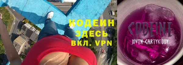 сатива Няндома